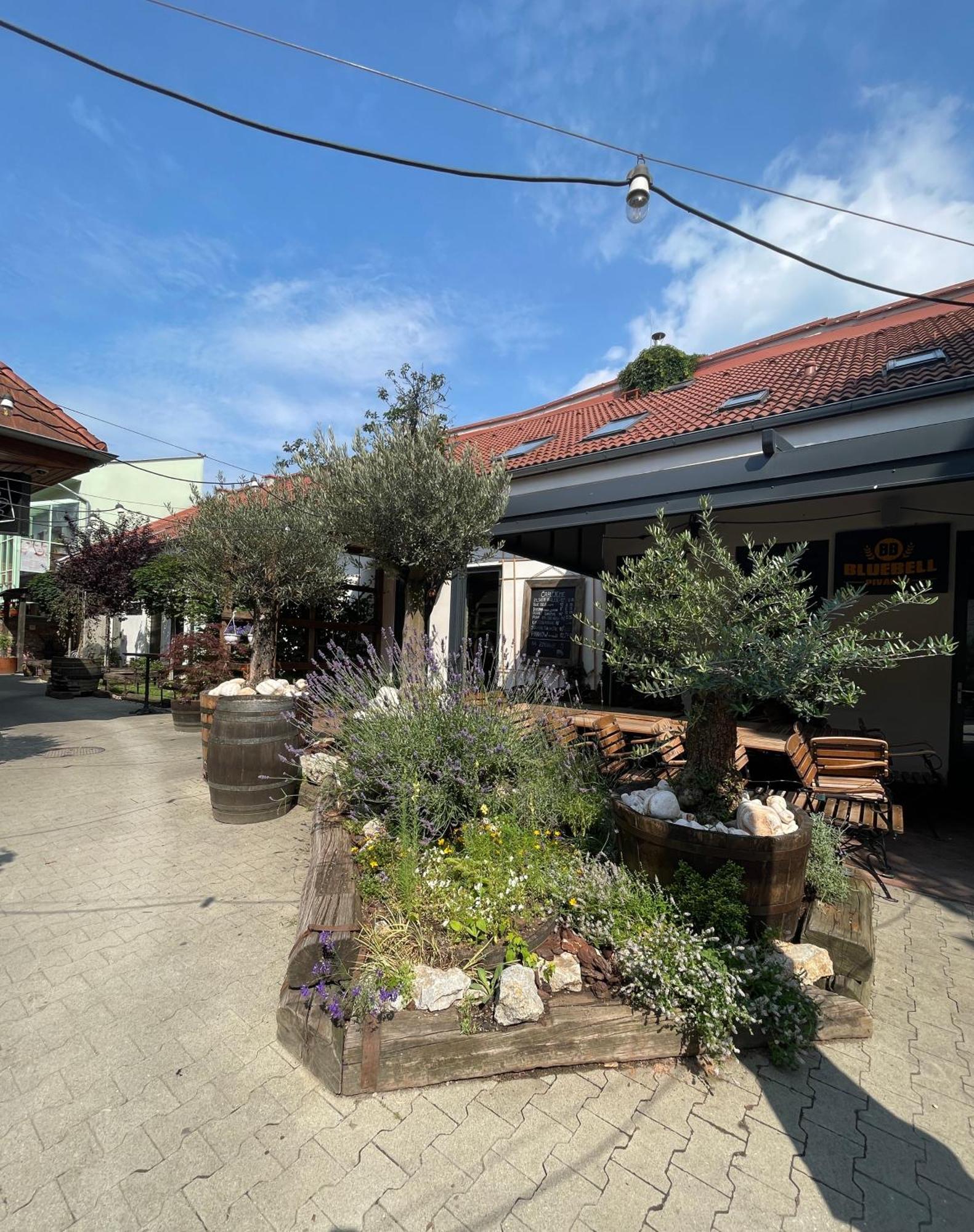 Blue Bell Penzion Košice Εξωτερικό φωτογραφία